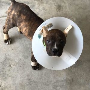 Meet your Posher, Luke